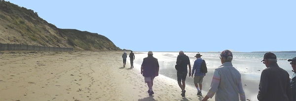 Beach Walk
